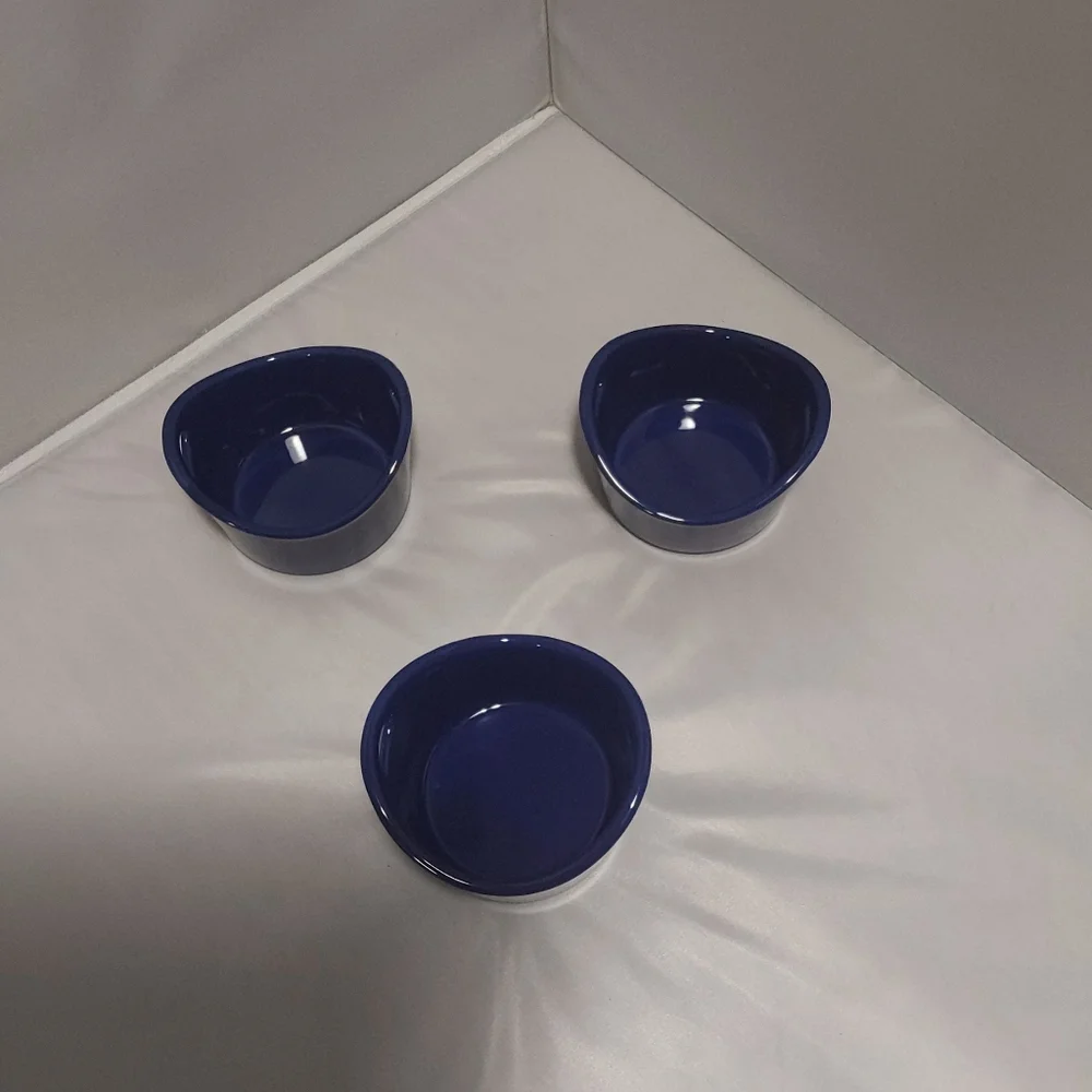 Rachael Ray 10oz ramekins